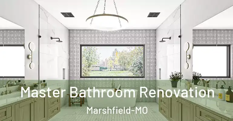 inner Bathroom imggen Master Bathroom Renovation Marshfield-MO