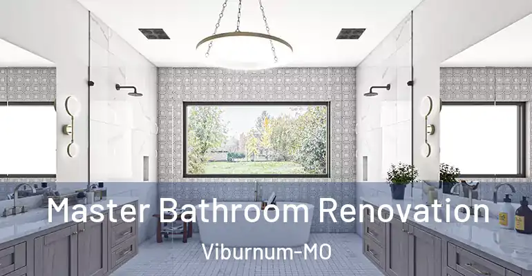 inner Bathroom imggen Master Bathroom Renovation Viburnum-MO