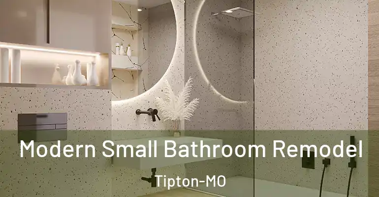 inner Bathroom imggen Modern Small Bathroom Remodel Tipton-MO