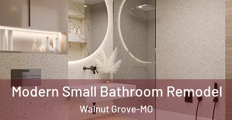 inner Bathroom imggen Modern Small Bathroom Remodel Walnut Grove-MO