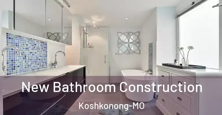 inner Bathroom imggen New Bathroom Construction Koshkonong-MO