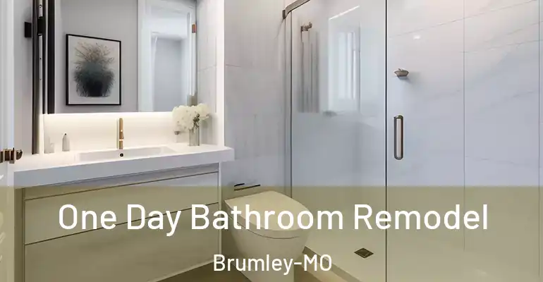 inner Bathroom imggen One Day Bathroom Remodel Brumley-MO