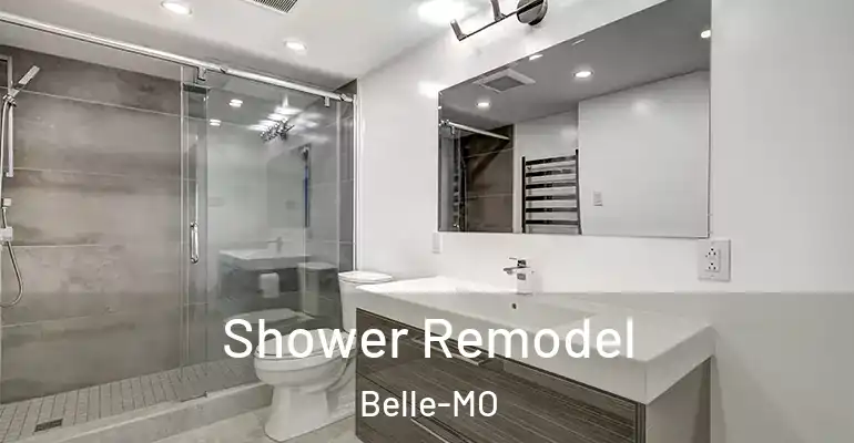 inner Bathroom imggen Shower Remodel Belle-MO