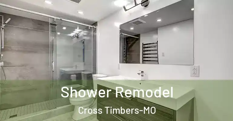 inner Bathroom imggen Shower Remodel Cross Timbers-MO