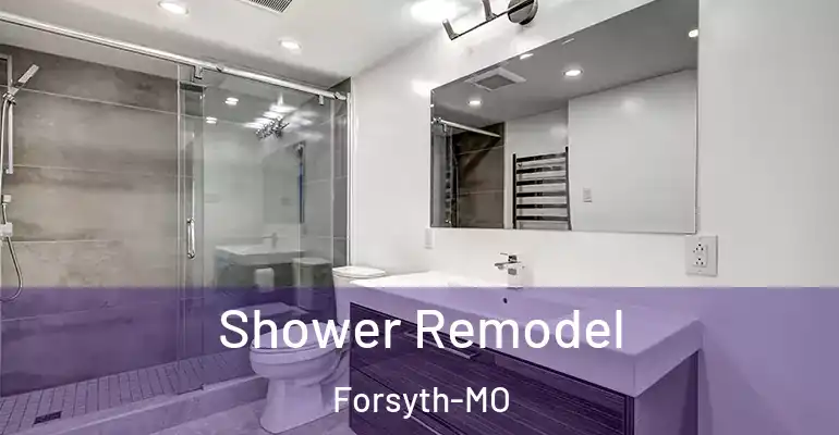 inner Bathroom imggen Shower Remodel Forsyth-MO