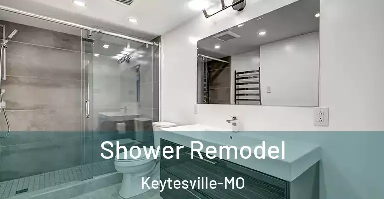 inner Bathroom imggen Shower Remodel Keytesville-MO