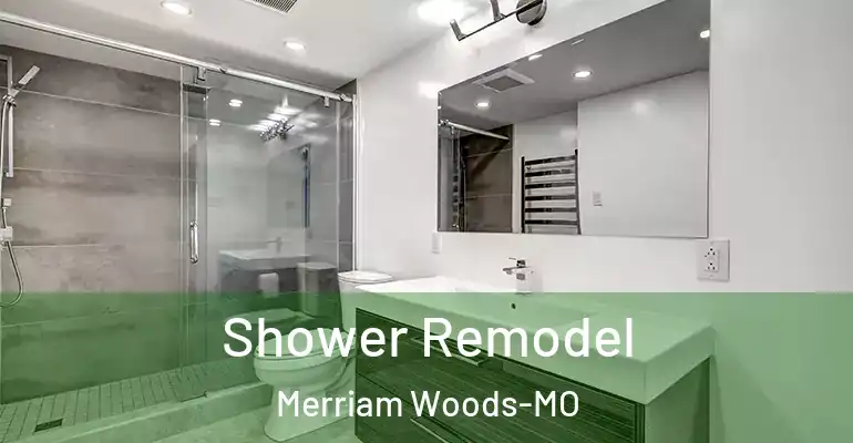 inner Bathroom imggen Shower Remodel Merriam Woods-MO