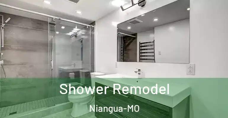 inner Bathroom imggen Shower Remodel Niangua-MO