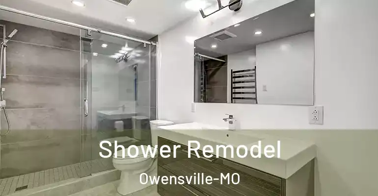inner Bathroom imggen Shower Remodel Owensville-MO