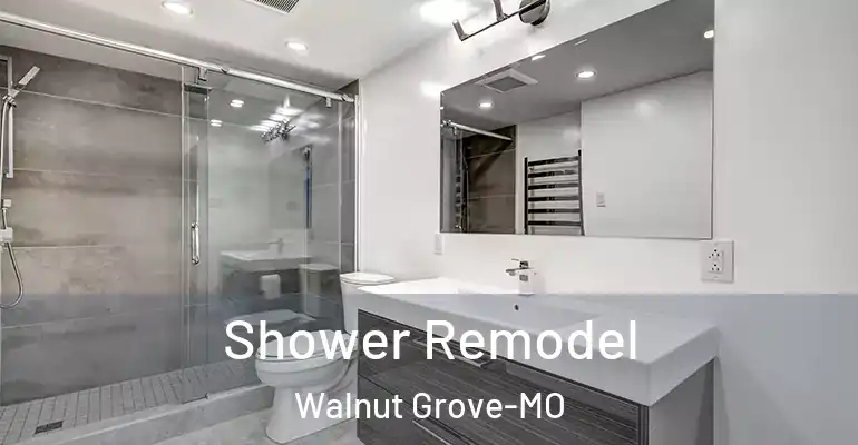 inner Bathroom imggen Shower Remodel Walnut Grove-MO