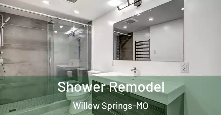 inner Bathroom imggen Shower Remodel Willow Springs-MO