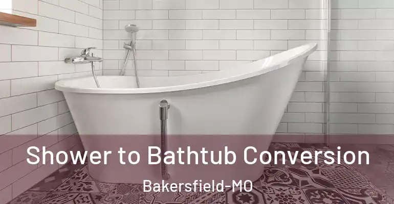 inner Bathroom imggen Shower to Bathtub Conversion Bakersfield-MO