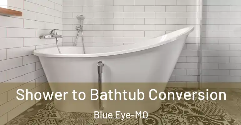 inner Bathroom imggen Shower to Bathtub Conversion Blue Eye-MO