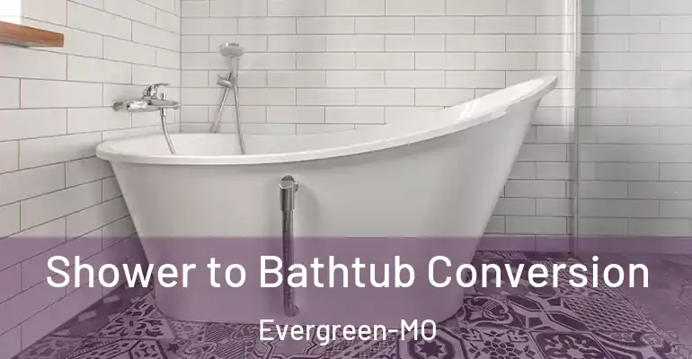 inner Bathroom imggen Shower to Bathtub Conversion Evergreen-MO