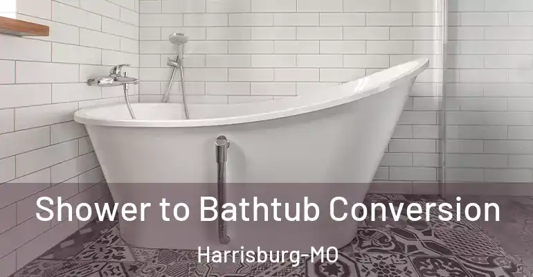 inner Bathroom imggen Shower to Bathtub Conversion Harrisburg-MO
