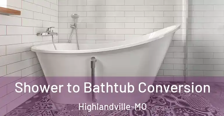 inner Bathroom imggen Shower to Bathtub Conversion Highlandville-MO