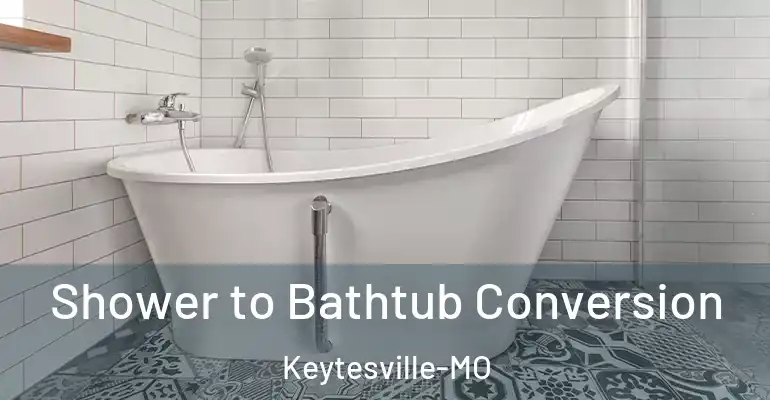 inner Bathroom imggen Shower to Bathtub Conversion Keytesville-MO