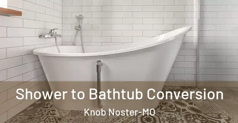 inner Bathroom imggen Shower to Bathtub Conversion Knob Noster-MO