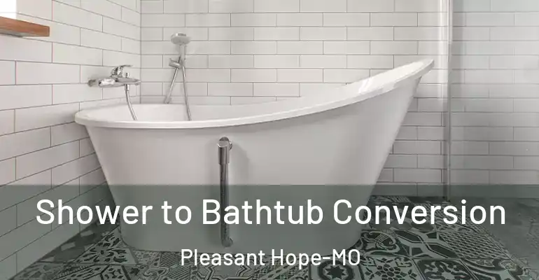 inner Bathroom imggen Shower to Bathtub Conversion Pleasant Hope-MO