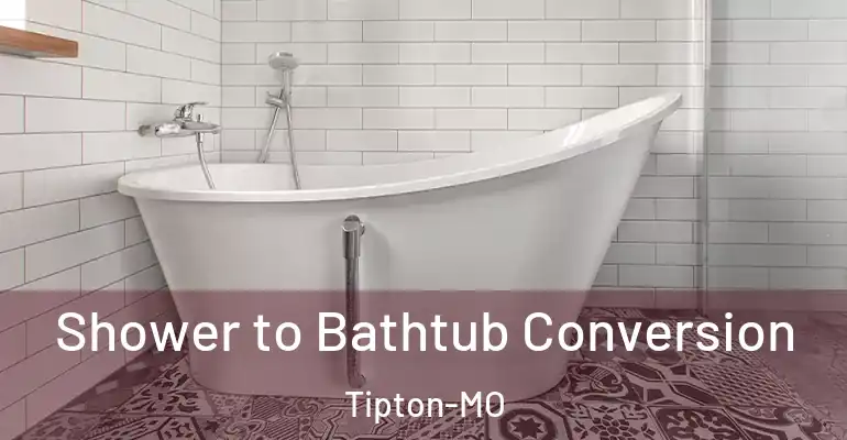 inner Bathroom imggen Shower to Bathtub Conversion Tipton-MO