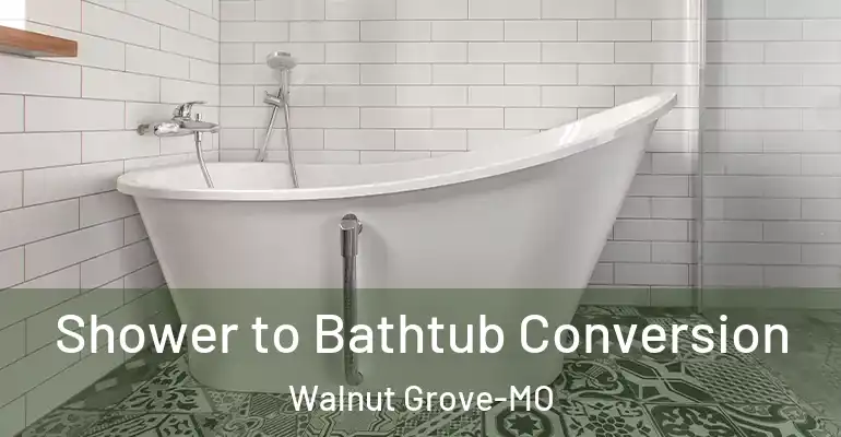inner Bathroom imggen Shower to Bathtub Conversion Walnut Grove-MO