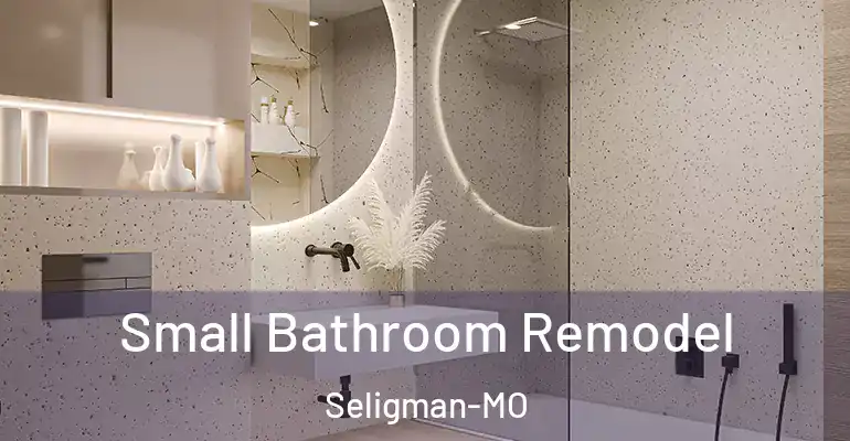 inner Bathroom imggen Small Bathroom Remodel Seligman-MO