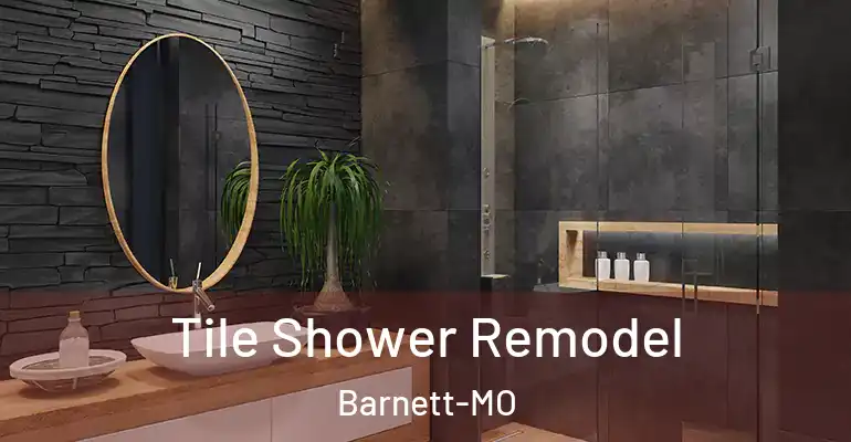 inner Bathroom imggen Tile Shower Remodel Barnett-MO