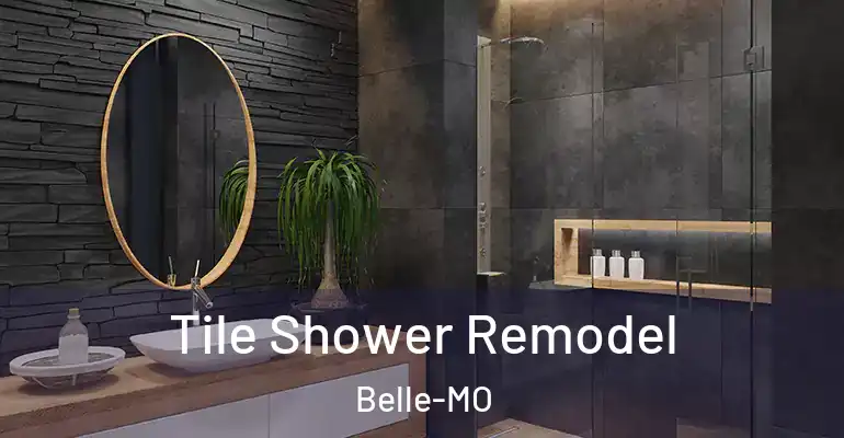 inner Bathroom imggen Tile Shower Remodel Belle-MO