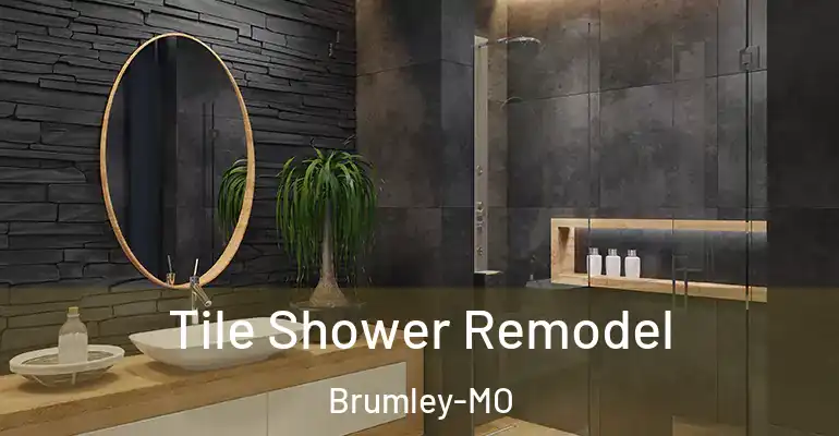 inner Bathroom imggen Tile Shower Remodel Brumley-MO