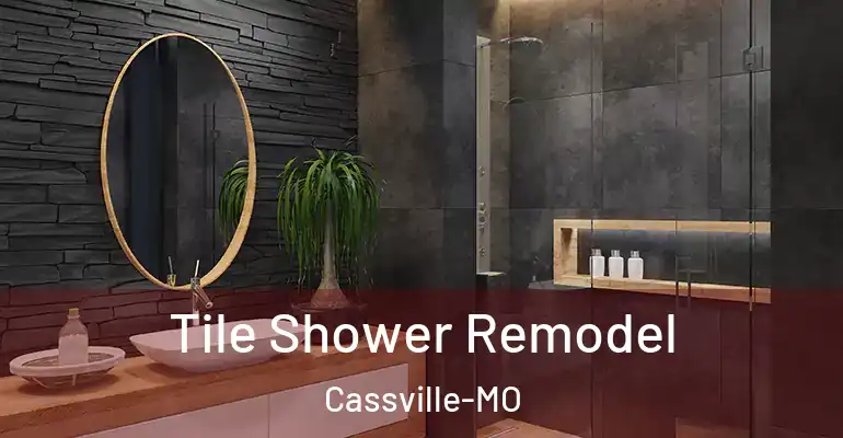 inner Bathroom imggen Tile Shower Remodel Cassville-MO