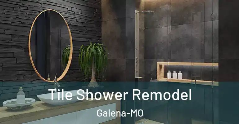 inner Bathroom imggen Tile Shower Remodel Galena-MO