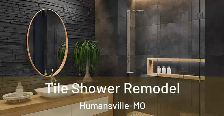 inner Bathroom imggen Tile Shower Remodel Humansville-MO