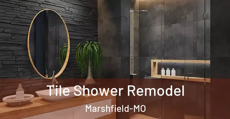 inner Bathroom imggen Tile Shower Remodel Marshfield-MO