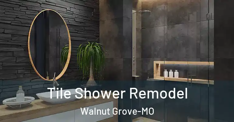 inner Bathroom imggen Tile Shower Remodel Walnut Grove-MO