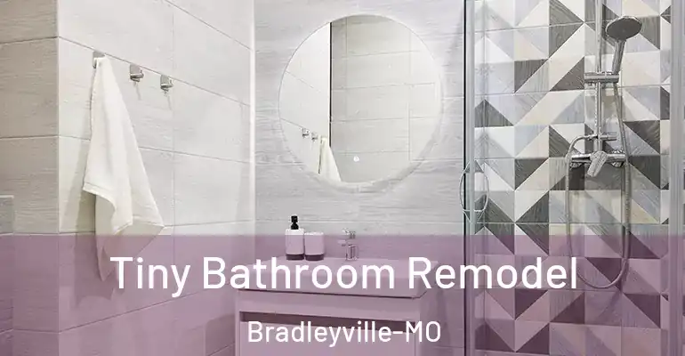 inner Bathroom imggen Tiny Bathroom Remodel Bradleyville-MO