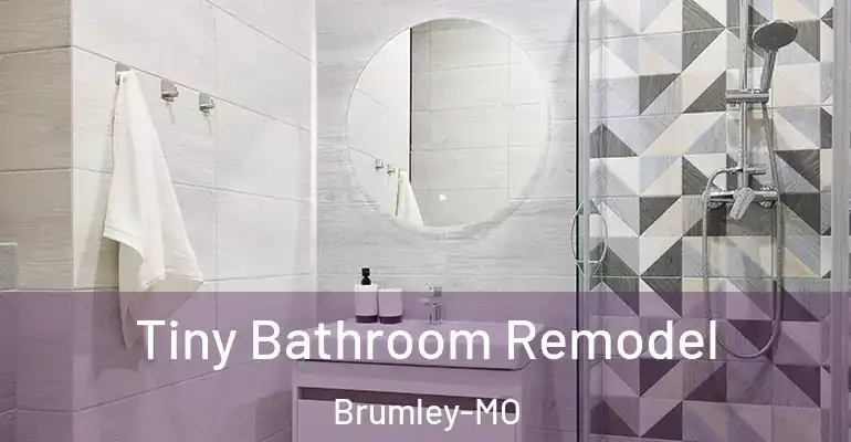 inner Bathroom imggen Tiny Bathroom Remodel Brumley-MO