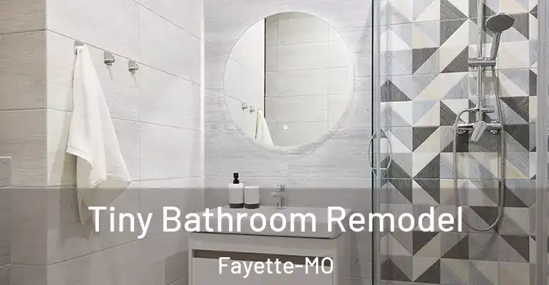 inner Bathroom imggen Tiny Bathroom Remodel Fayette-MO