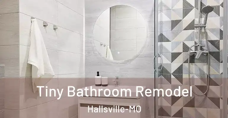 inner Bathroom imggen Tiny Bathroom Remodel Hallsville-MO