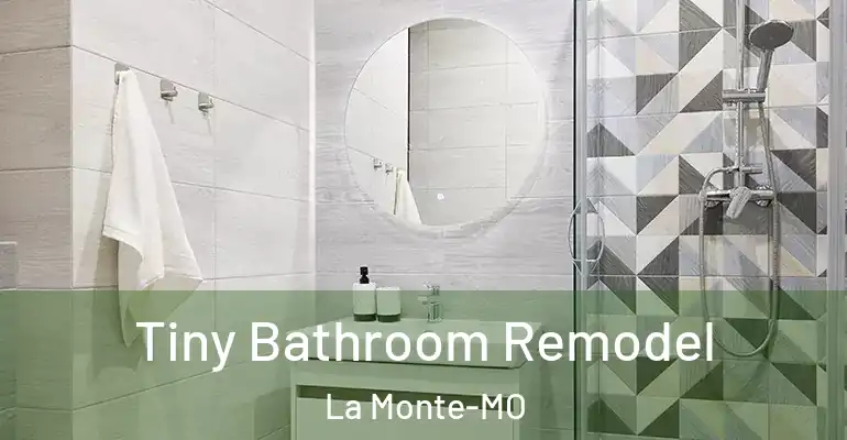 inner Bathroom imggen Tiny Bathroom Remodel La Monte-MO