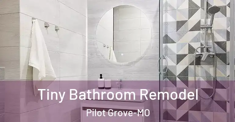 inner Bathroom imggen Tiny Bathroom Remodel Pilot Grove-MO