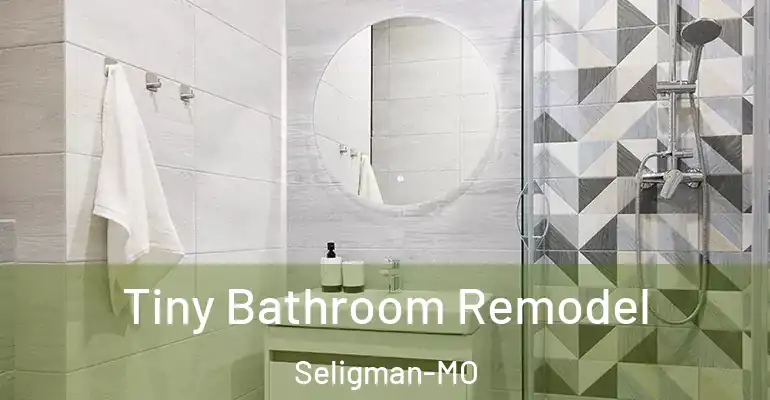 inner Bathroom imggen Tiny Bathroom Remodel Seligman-MO