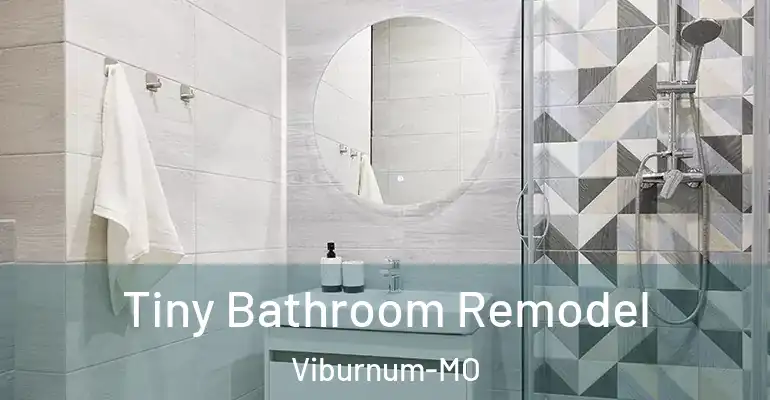 inner Bathroom imggen Tiny Bathroom Remodel Viburnum-MO