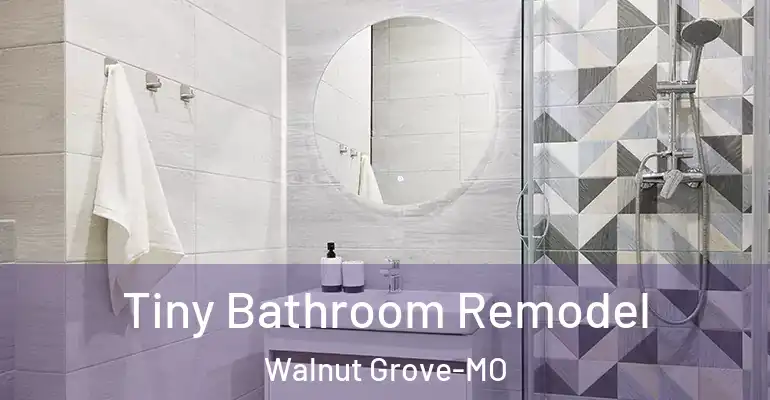 inner Bathroom imggen Tiny Bathroom Remodel Walnut Grove-MO
