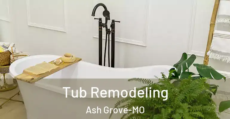 inner Bathroom imggen Tub Remodeling Ash Grove-MO