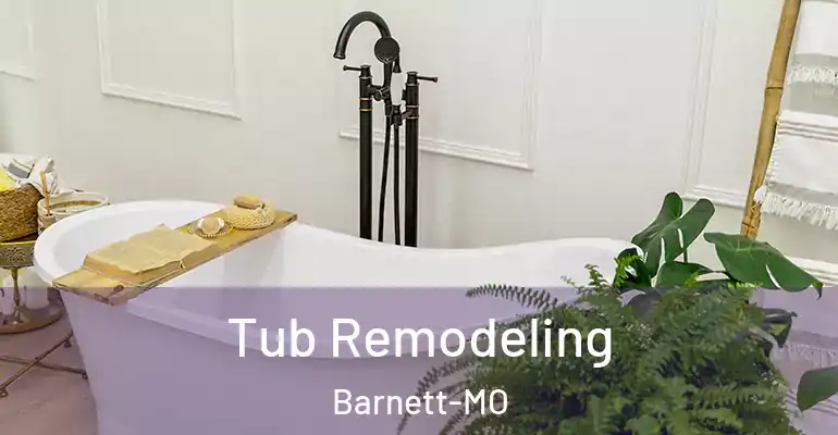 inner Bathroom imggen Tub Remodeling Barnett-MO