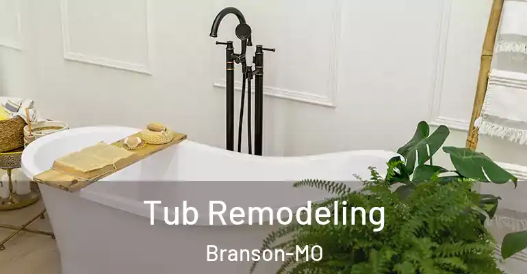 inner Bathroom imggen Tub Remodeling Branson-MO