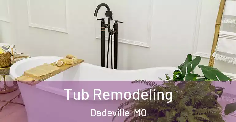 inner Bathroom imggen Tub Remodeling Dadeville-MO