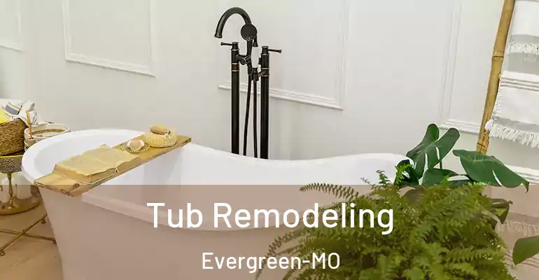 inner Bathroom imggen Tub Remodeling Evergreen-MO