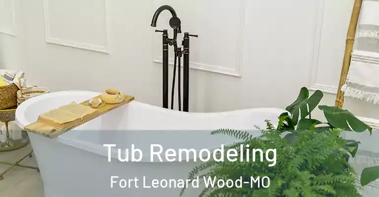inner Bathroom imggen Tub Remodeling Fort Leonard Wood-MO