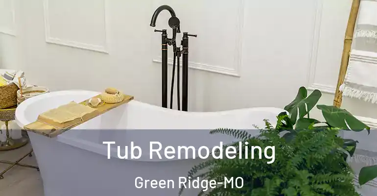 inner Bathroom imggen Tub Remodeling Green Ridge-MO